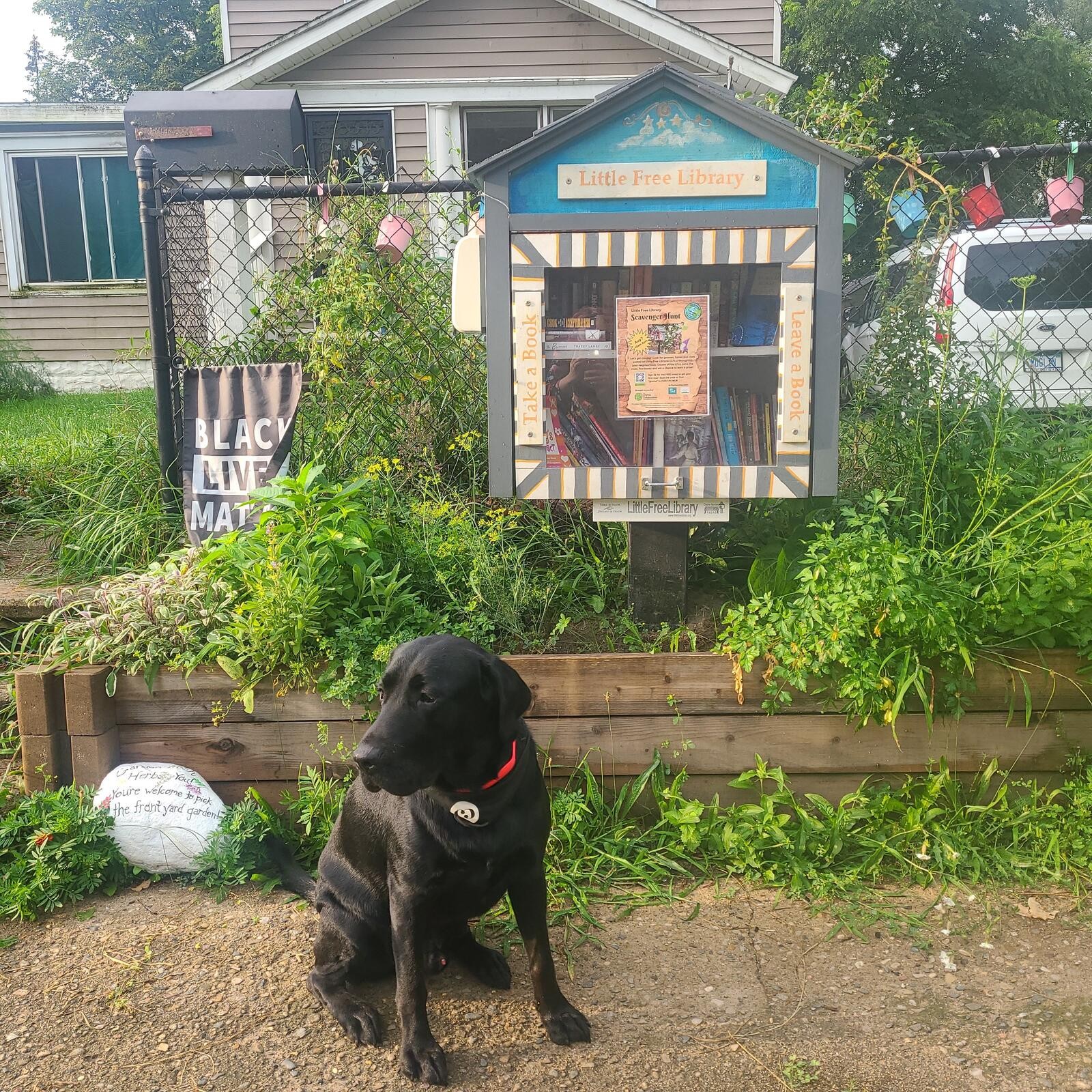 Little Free Library